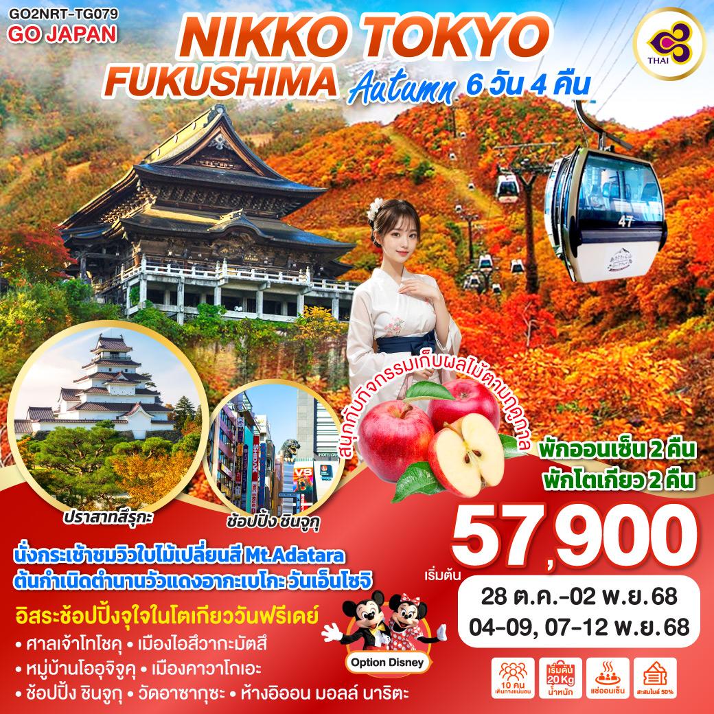 ทัวร์ญี่ปุ่น NIKKO TOKYO FUKUSHIMA AUTUMN 6วัน 4คืน (TG)