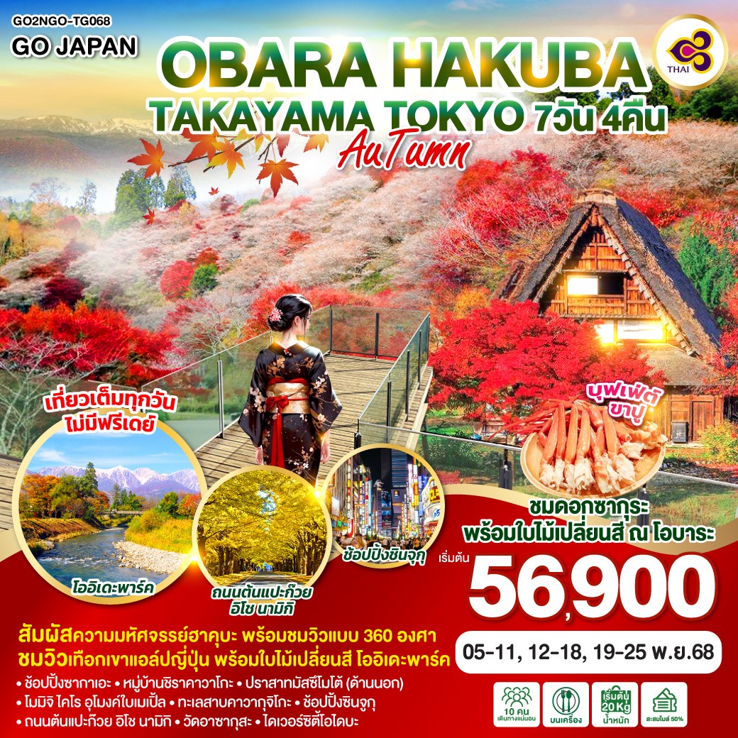 ทัวร์ญี่ปุ่น OBARA HAKUBA TAKAYAMA TOKYO AUTUMN 7วัน 4คืน (TG)